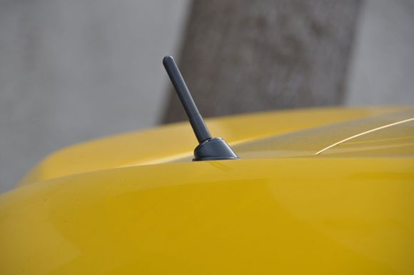 DSC_7261.JPG