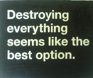 destroy everything