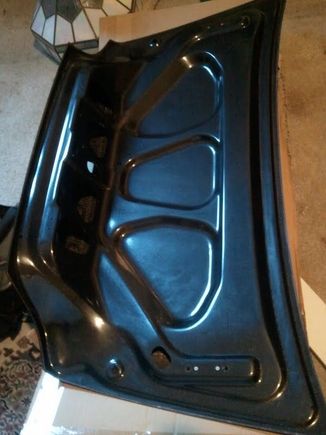 Asm trunk
