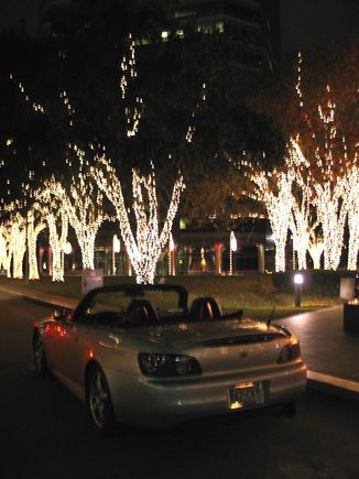 xmas03.jpg