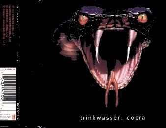 cobra.jpg