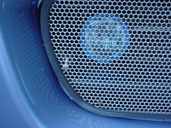 close up grille 1.JPG