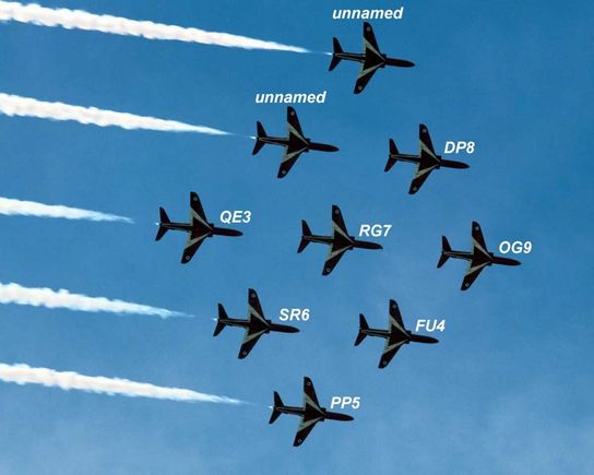 group fly.jpg