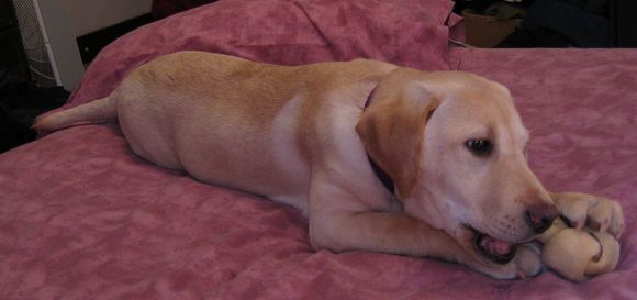2maggie02-1.jpg
