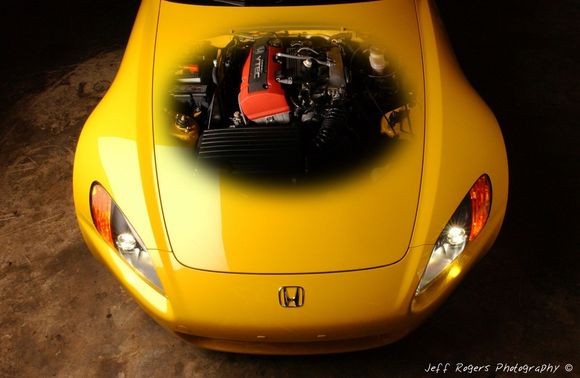 see through hood.jpg