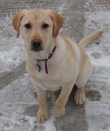 Maggie2-21-2.jpg
