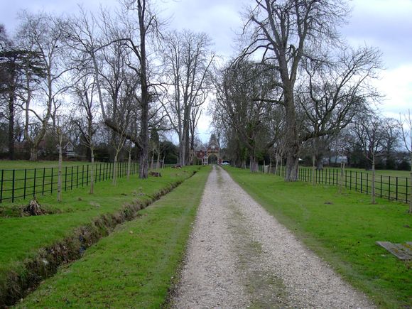 KIF_0268.JPG