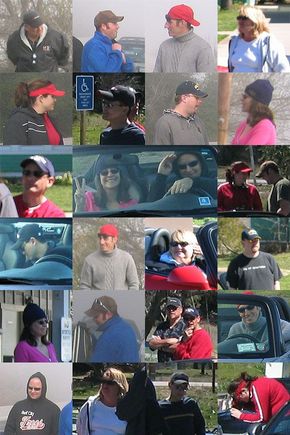 6montage.jpg