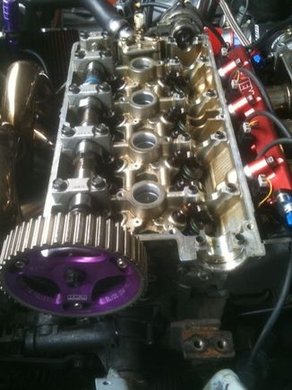 photo(14)