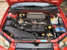 I have never steam cleaned the engine bay, sorry!