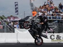 flamingo wheelie