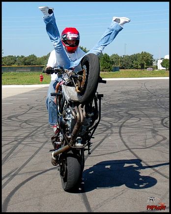 dizzlestuntz.com , koncretekhaos.com , dan laird , ashley trombello