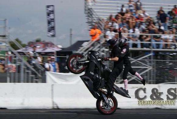 flamingo wheelie