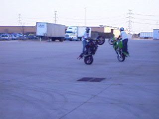 DSCI0303