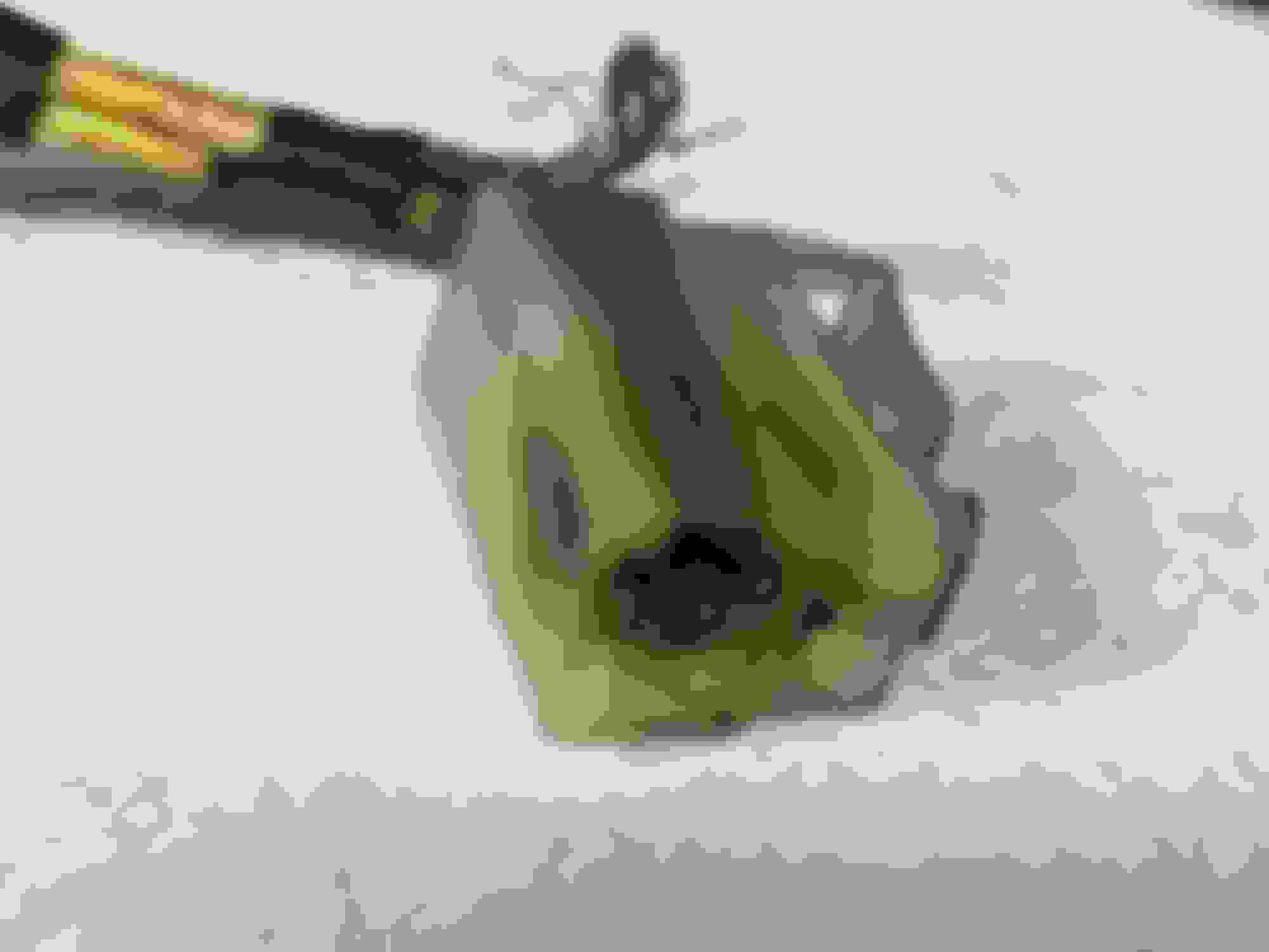 Stator wiring pictures, for your entertainment - SuperHawk Forum