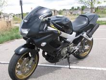 The Great Adventure Bat