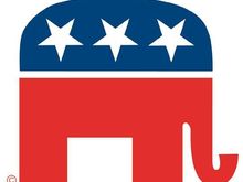 rncelephant