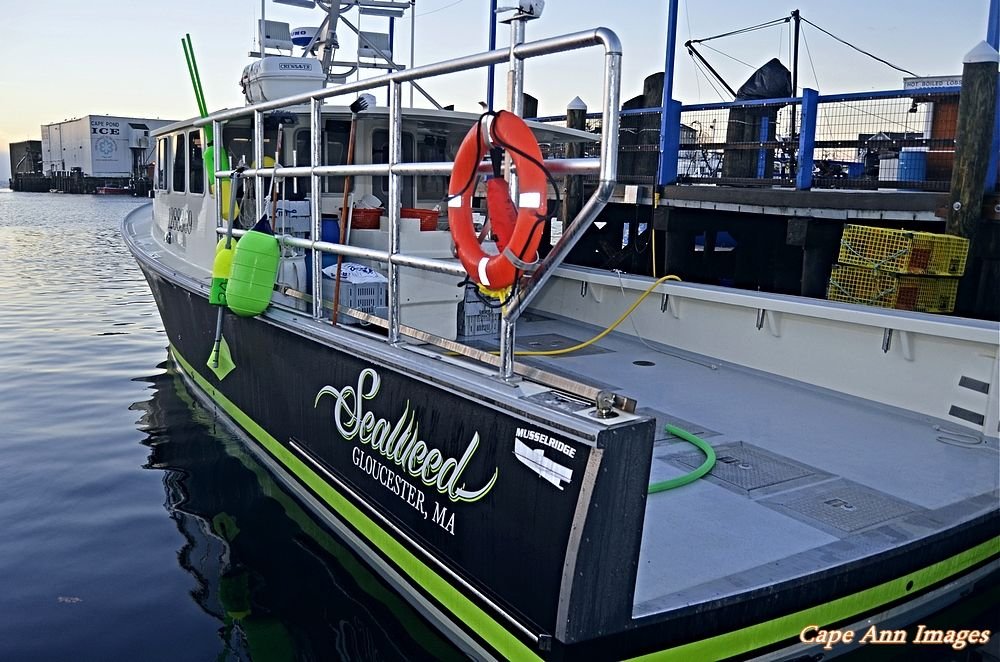 Gloucester's newest lobster boat! The Hull Truth Boating and Fishing Forum