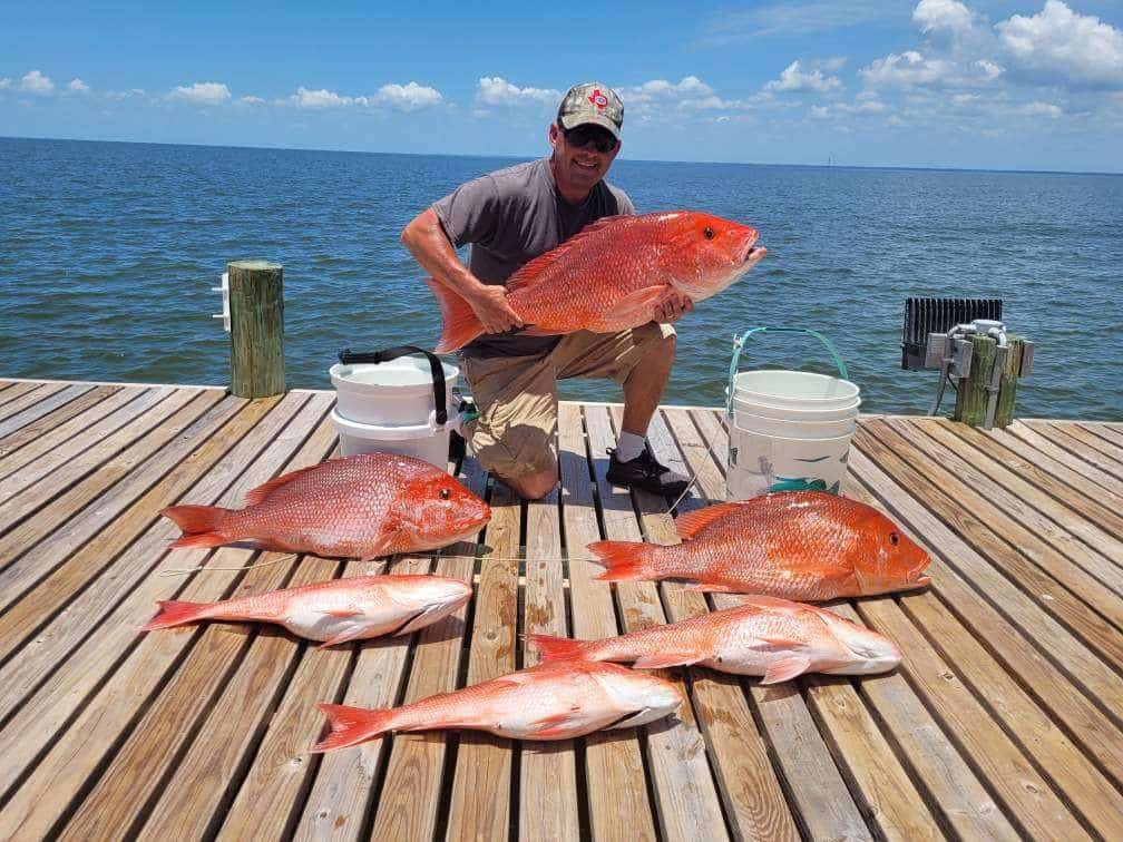 Alabama snapper opener - Page 3 - The Hull Truth - Boating and Fishing Forum