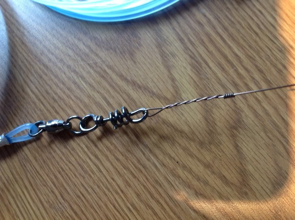 The Hull Truth Boating and Fishing Forum SHARK SHARK SHARK LEADER