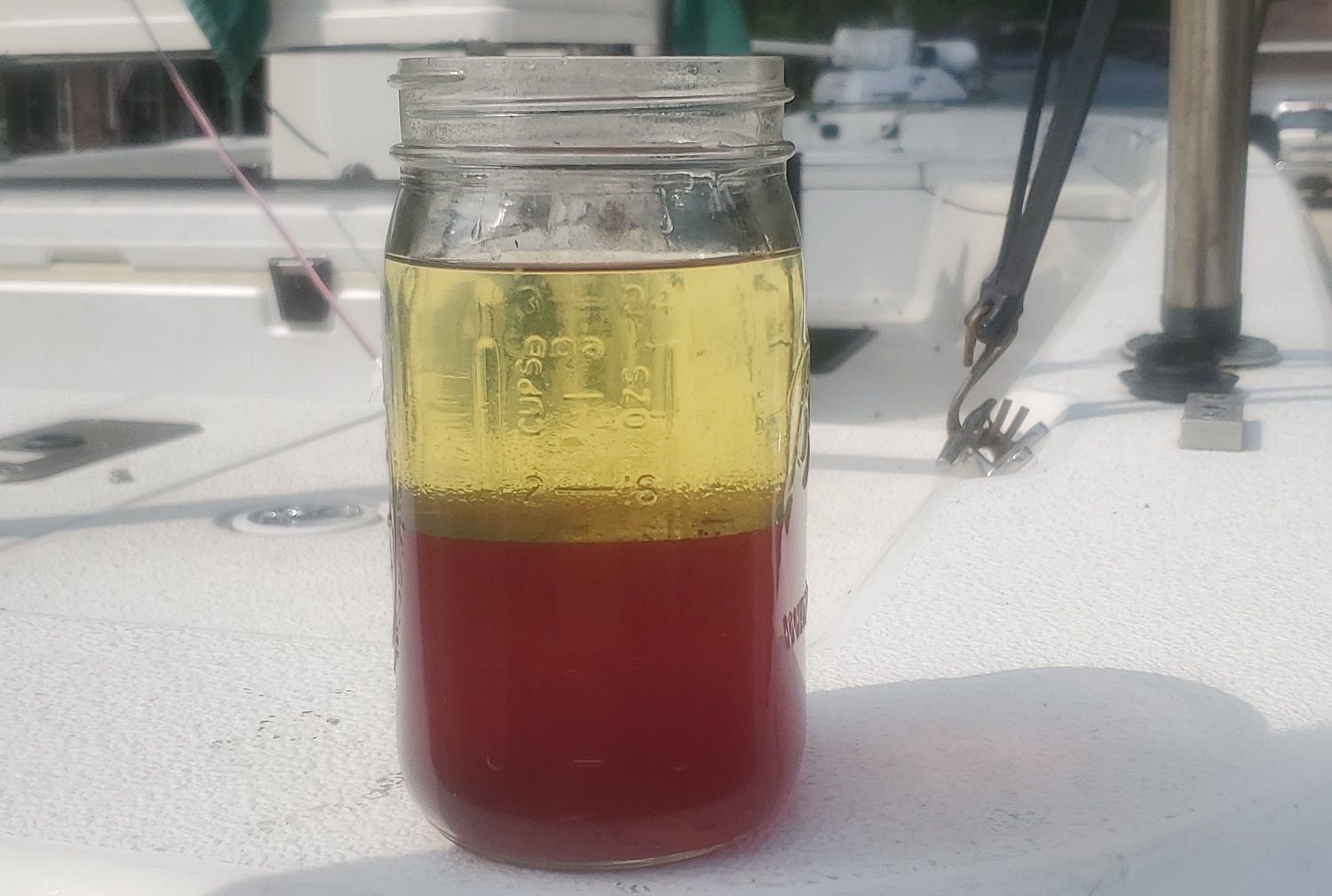 Fuel/Water Separator The Hull Truth Boating and Fishing Forum