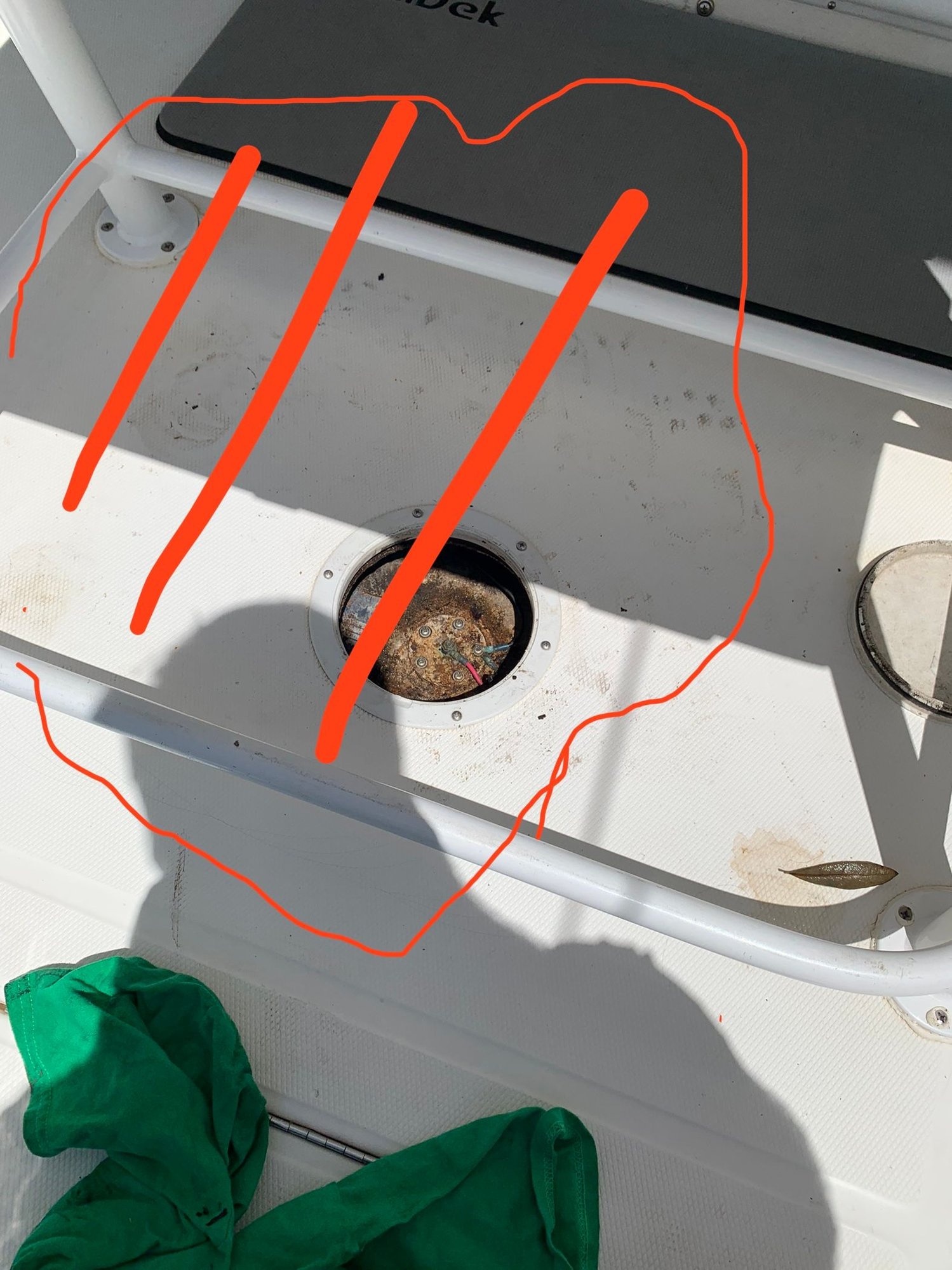 Regulator Rot The Hull Truth Boating and Fishing Forum