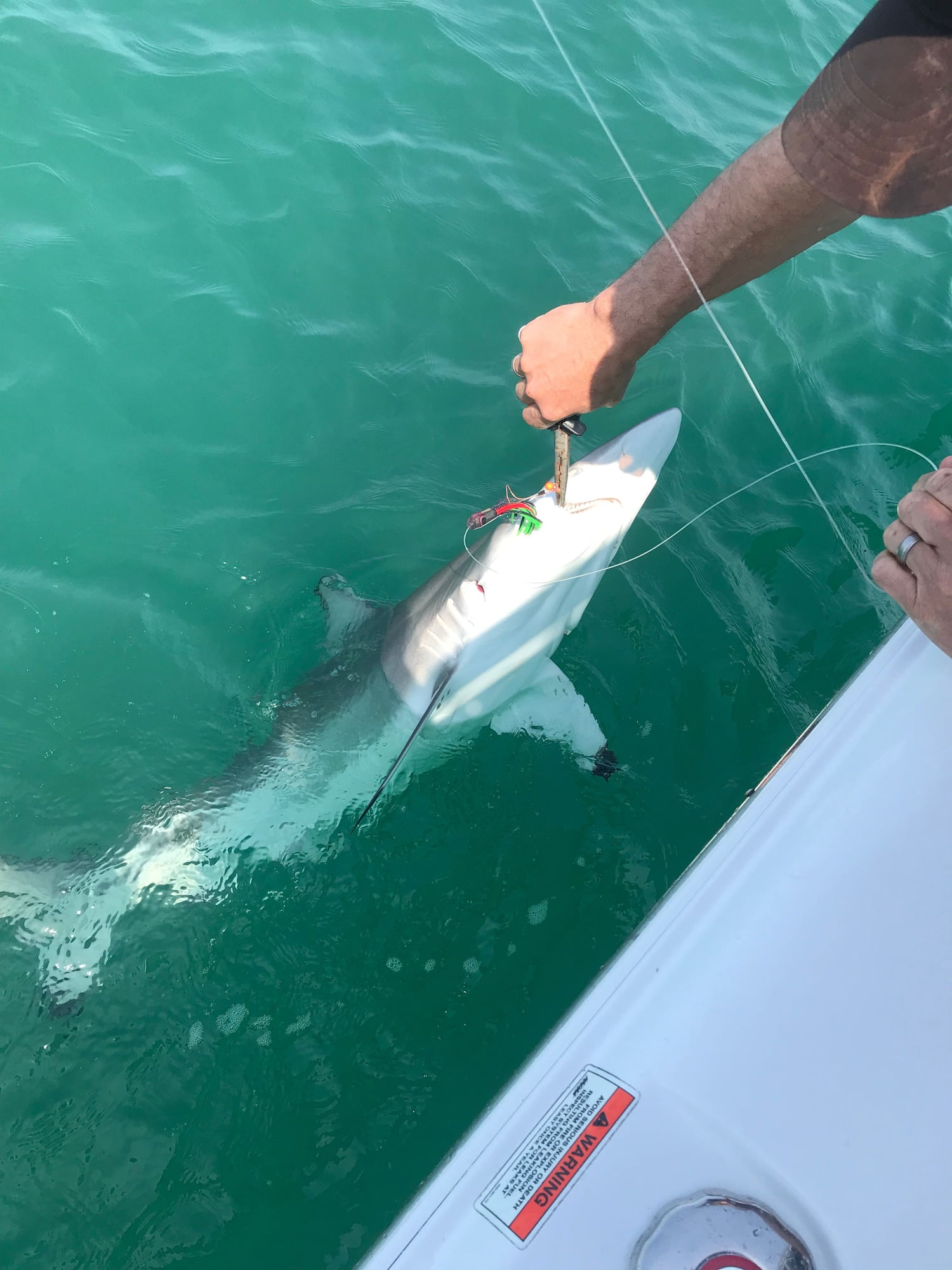 Catching small sharks off Topsail/Figure 8/Wrightsville - The Hull