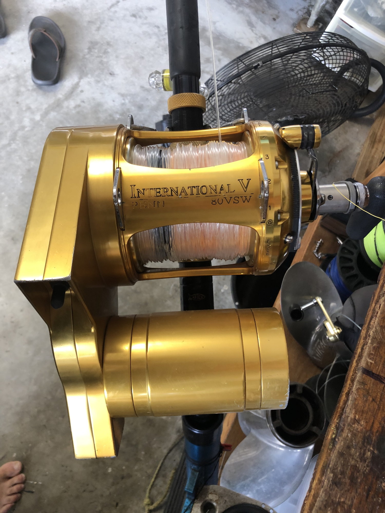 Dolphin Electric Reel with Penn 80W - The Hull Truth - Boating and