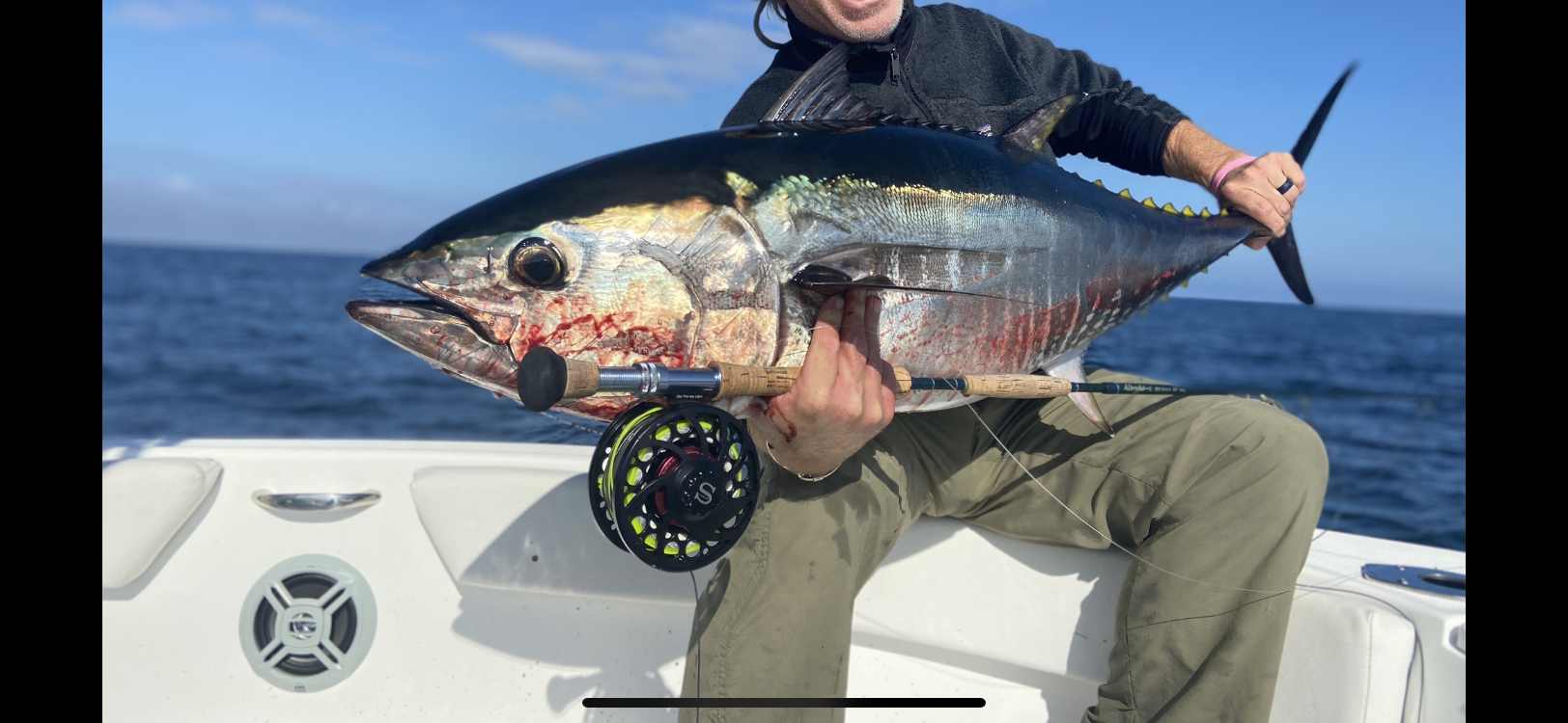 Bluefin Lures - The Hull Truth - Boating and Fishing Forum