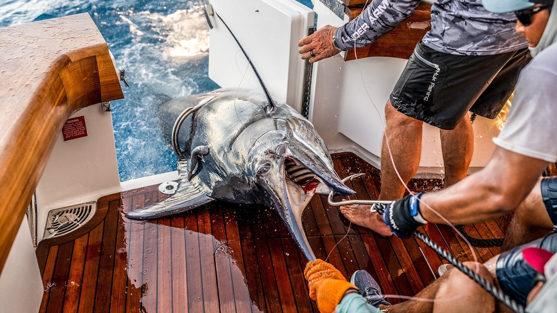 Bisbees Black And Blue Photos The Hull Truth Boating and Fishing Forum