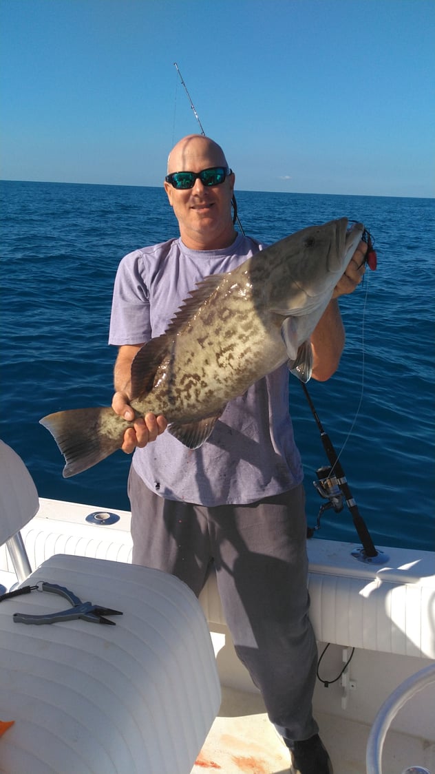 Gag Grouper? - The Hull Truth - Boating and Fishing Forum