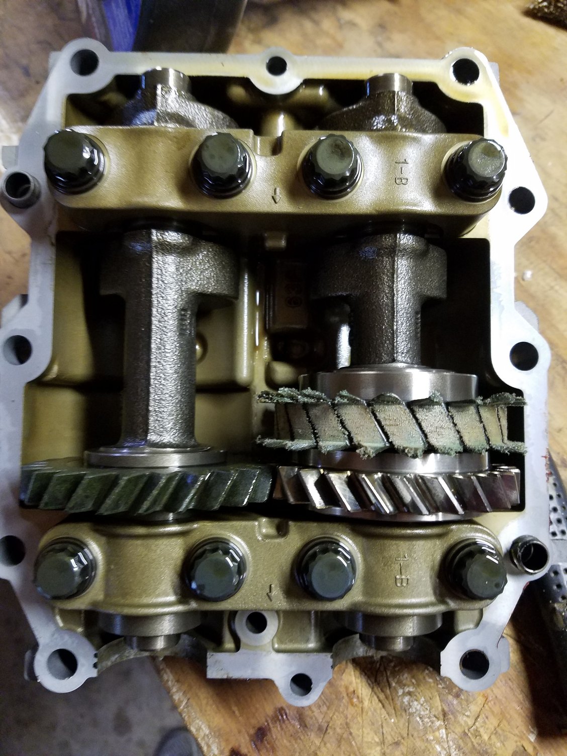 Yamaha balancer Strikes again The Hull Truth Boating and Fishing Forum