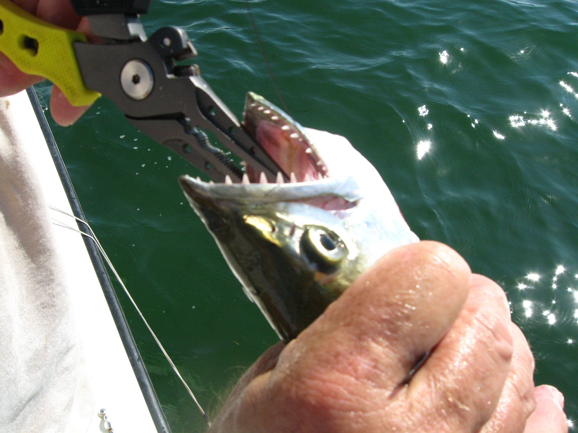 Offshore Fishing with Kids in the Florida Keys — Marathon, FL Fishing  Charters with Capt. Jeff Rella