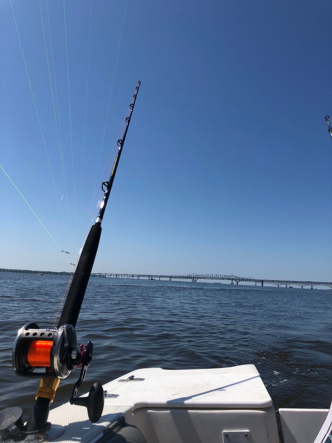 Ande 20-50 stand up rods - The Hull Truth - Boating and Fishing Forum