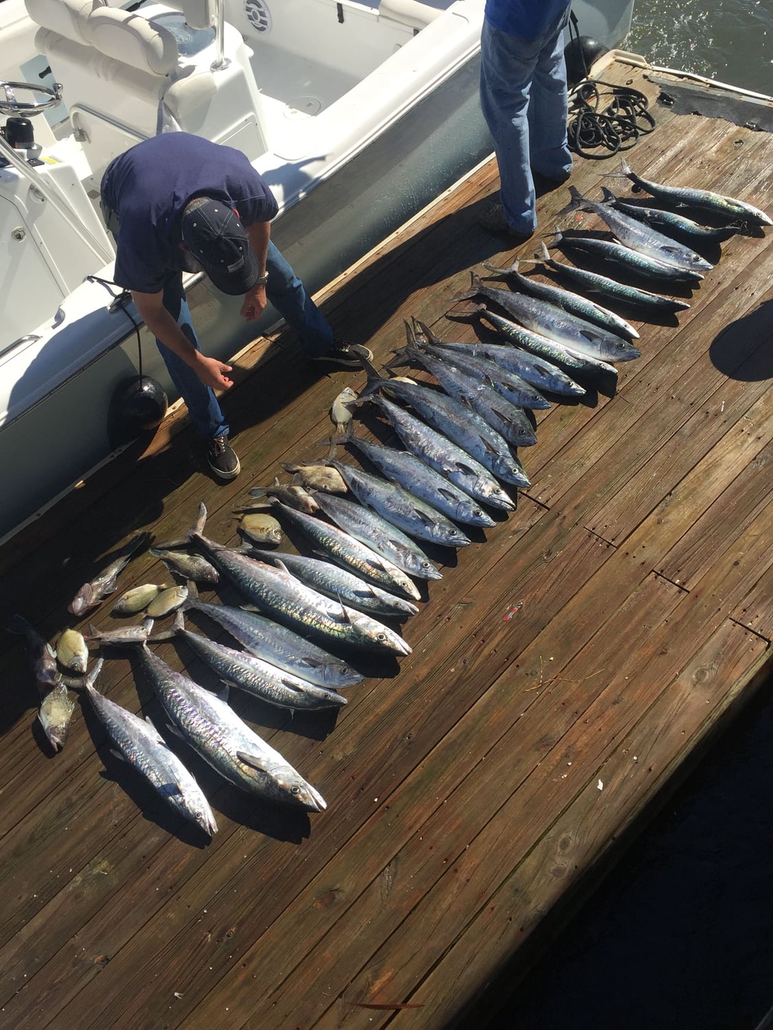 King mackerel and speedometer questions - The Hull Truth - Boating and Fishing  Forum