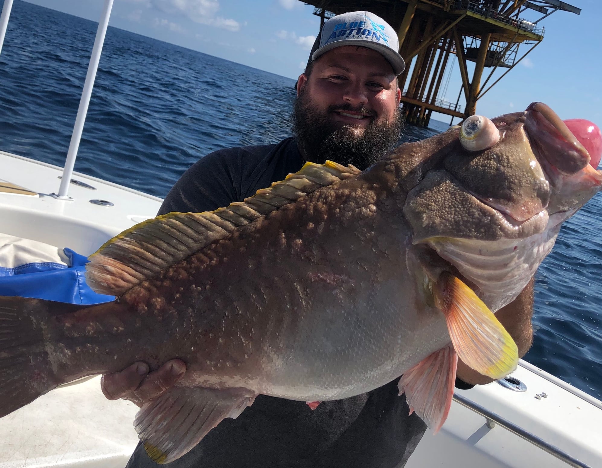 GROUPER - DEEP GROUPER ** New Options - UV and Glow ** - Page 2 - The Hull  Truth - Boating and Fishing Forum