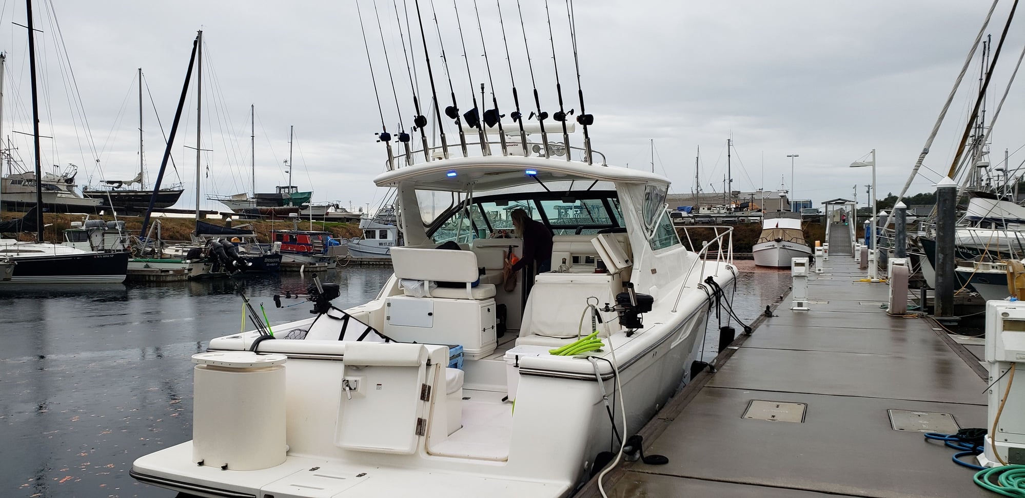 vuoksi bait holder for salmon trolling - The Hull Truth - Boating and  Fishing Forum
