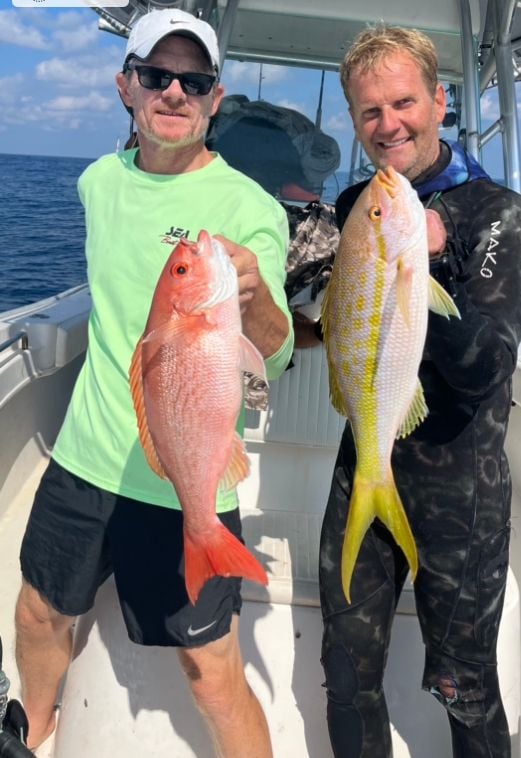 Yellowtail snapper - The Hull Truth - Boating and Fishing Forum