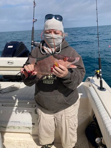 Hogfish and mango trip - The Hull Truth - Boating and Fishing Forum