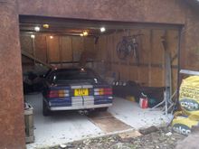 New home for the winter