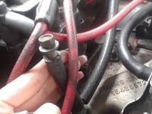 Cut hose with a with screw