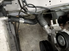 Lower radiator hose was a modified 2.8 v6 3rd gen camaro hose that was shortened.