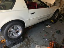 Get car up on ramps to make sure the suspension and chassis is it under tension.