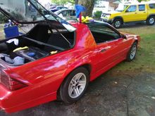 Here she is with one side done. I couldn't believe the difference.