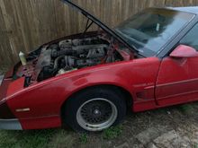 Original drivers fender