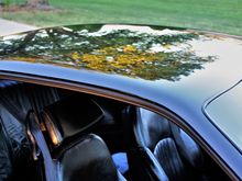 Another tree reflection...