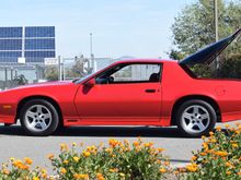 30 Years Old pictures