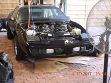 Painted the fenders and nose last night.