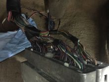 Can c16 and b1 be found