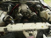 before pics